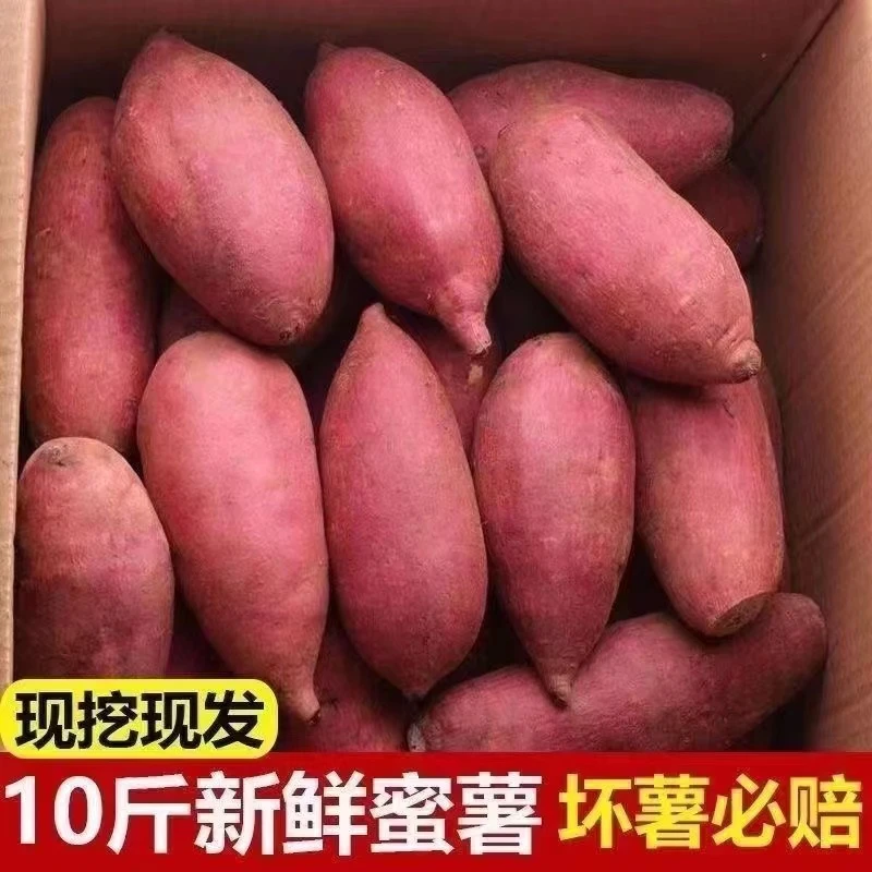 【抢购中】超甜沙地红薯1-9斤新鲜红黄蜜薯板栗薯地瓜番薯水果蔬菜
