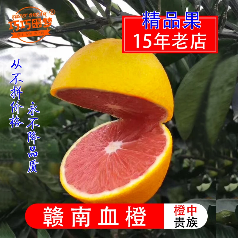 巧巧正宗赣南血橙红橙信丰精品红肉脐橙 甜红心橙子礼品特产水果