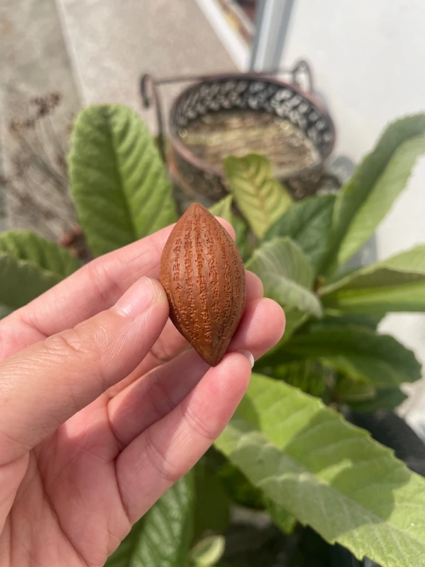 亢泽超老师手工雕刻橄榄核雕心经