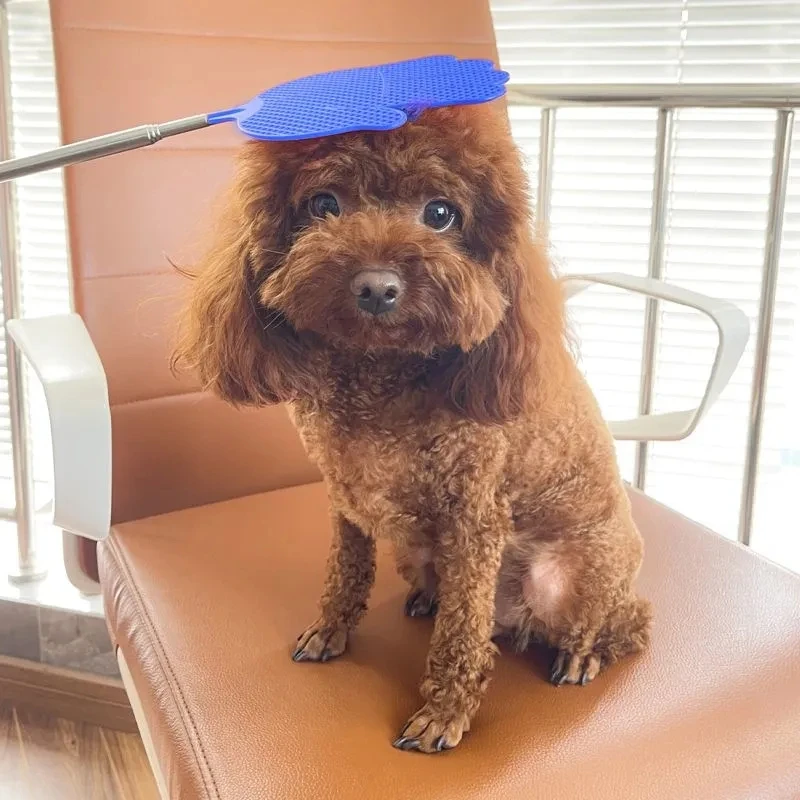 【呼呼】可伸缩宠物爱心拍训狗神器训犬棍鞭训练猫咪不伤狗用品