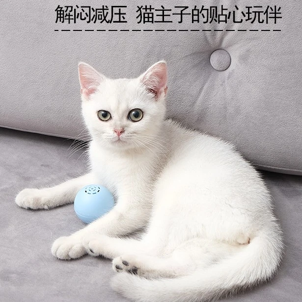猫咪音乐球自嗨解闷神器猫薄荷玩具叫叫球发声啃咬玩具