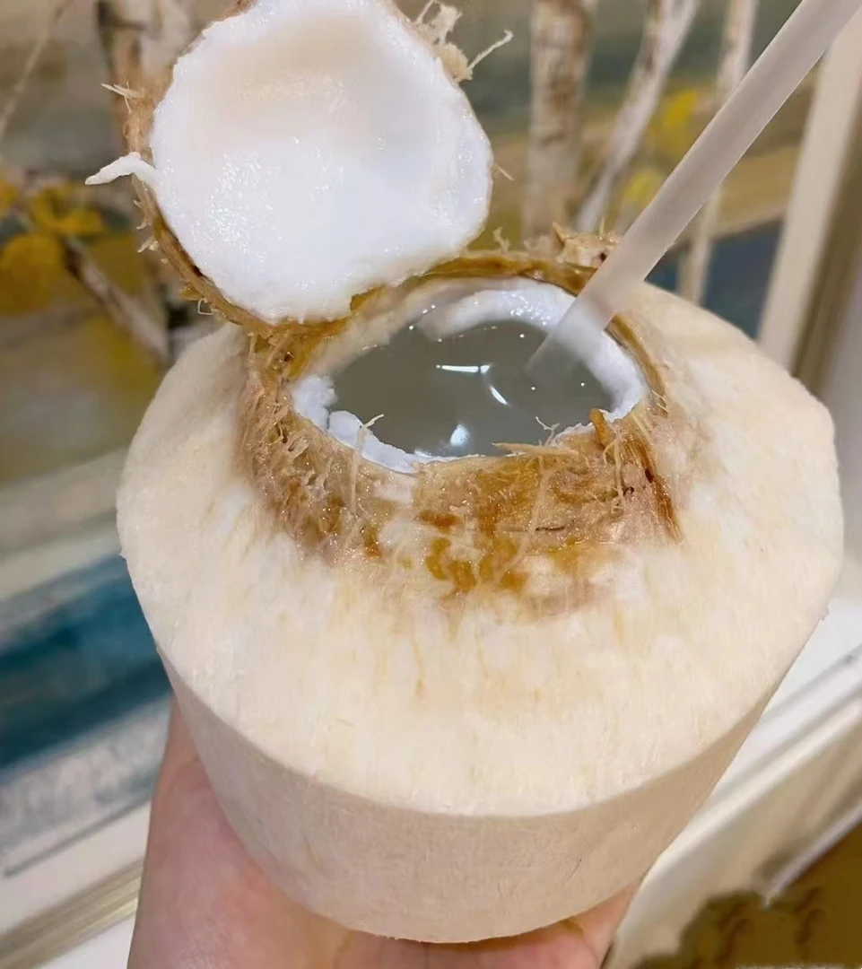 【默认半开】泰国香水椰青大果