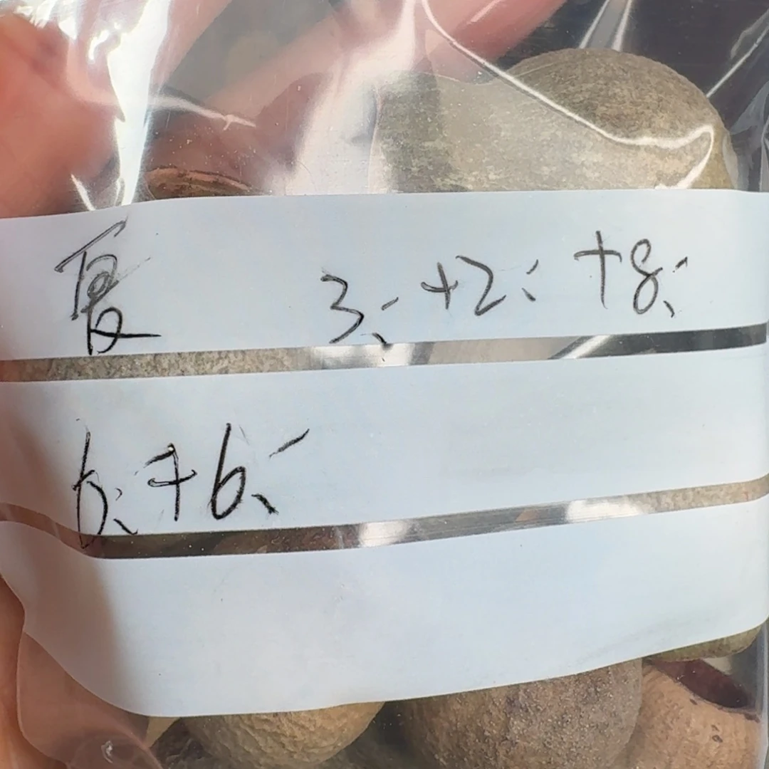 柏香籽/百香籽吊坠S****夏菩提心的人是