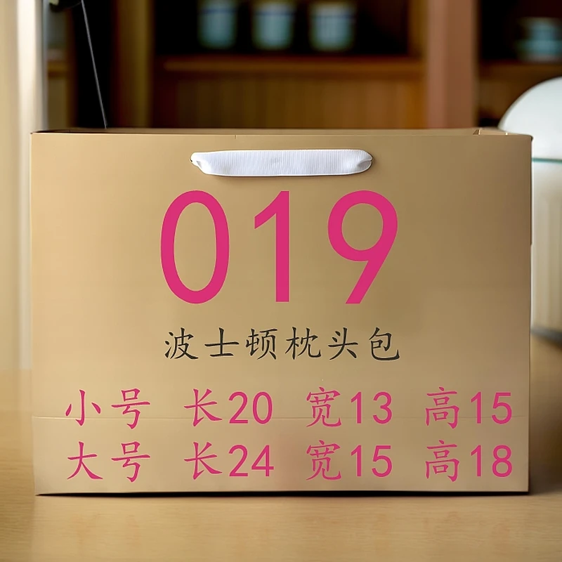 T019 波士顿枕头包百搭时尚蝴蝶结2024秋冬女包简约斜挎包手提包