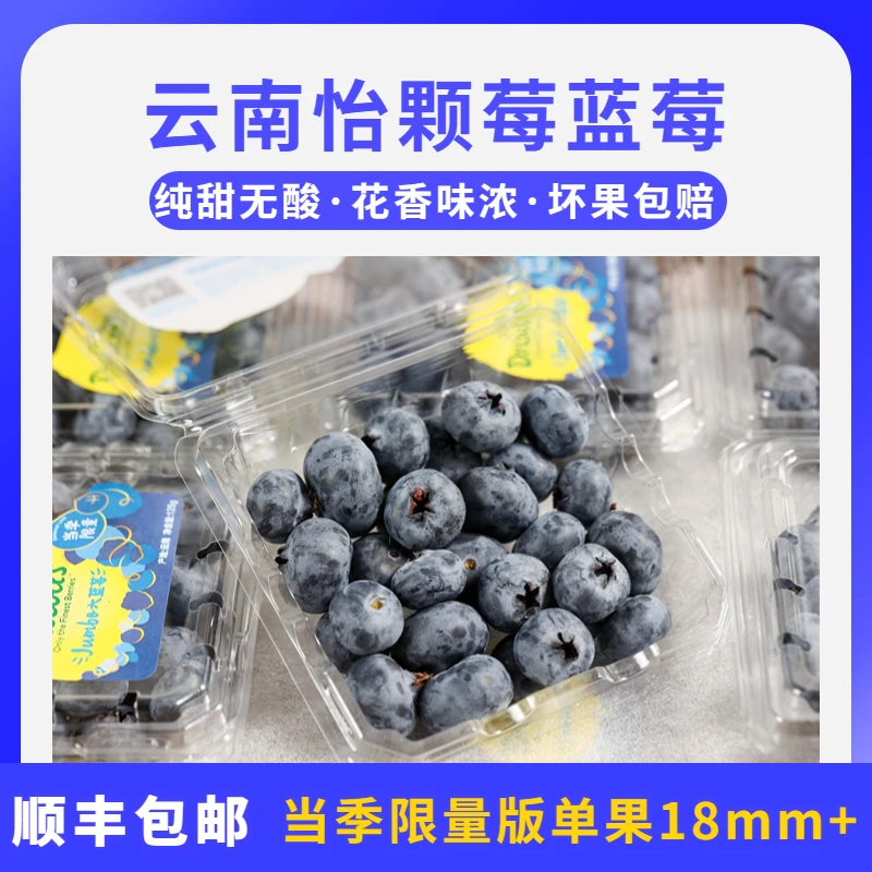 【纯甜花香味浓】云南怡颗莓蓝莓12盒装单盒125g蓝莓王大果