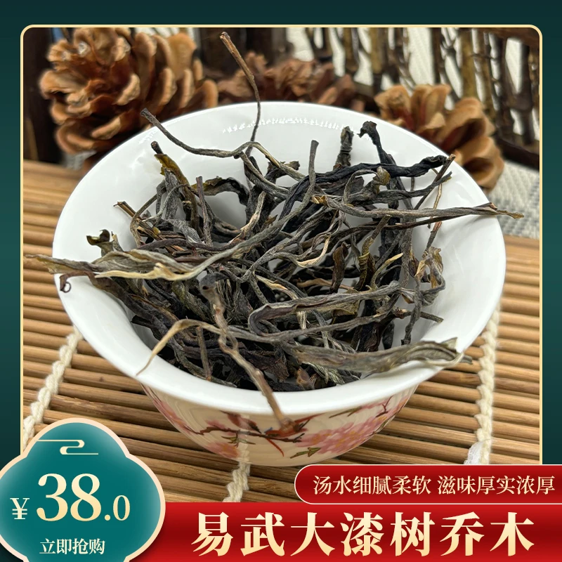 易武大漆树乔木 茶