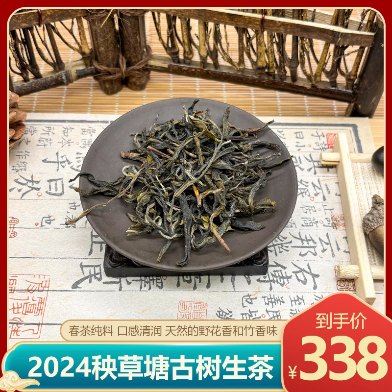 2024秧草塘古树生茶（春茶纯料）