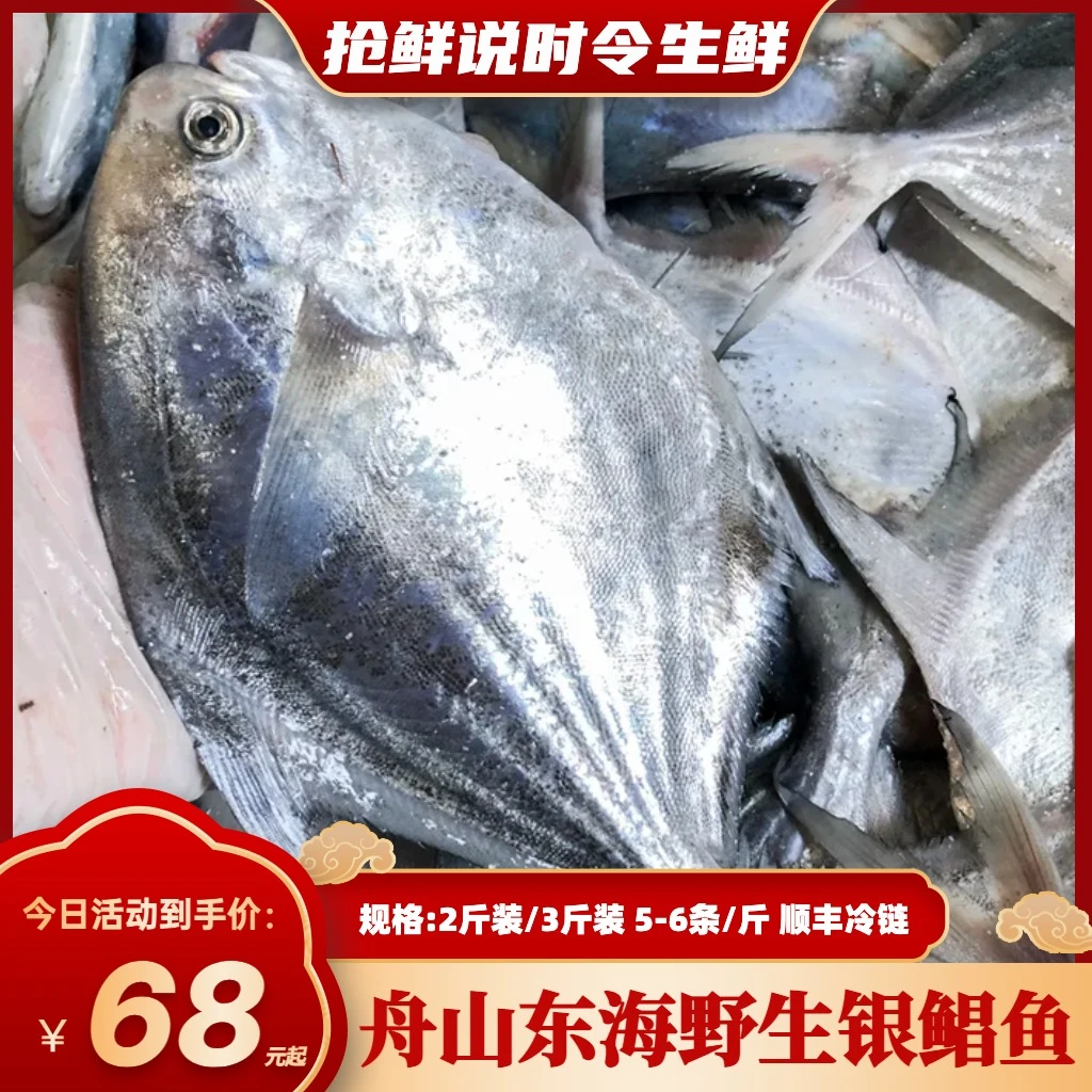 【舟山直发】舟山野生银鲳白鲳独立包装2斤/3斤 1斤5-6条顺丰包邮