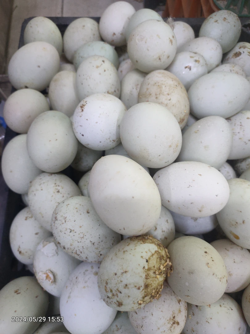 新鲜散养鸭蛋88元5000克