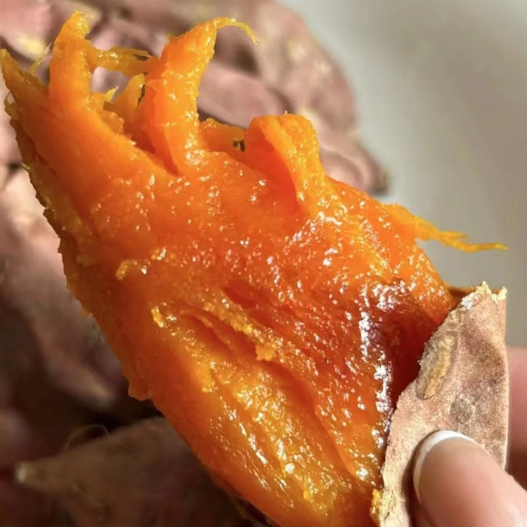 【软糯香甜拉糖丝】2024年沙地新烟薯25号1-3两精品果五斤净重包邮