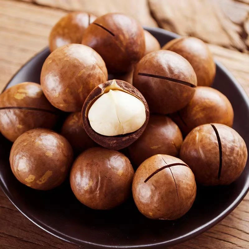 奶香夏威夷果新货大颗粒奶油味营养坚果新鲜干果美味精选年货零食