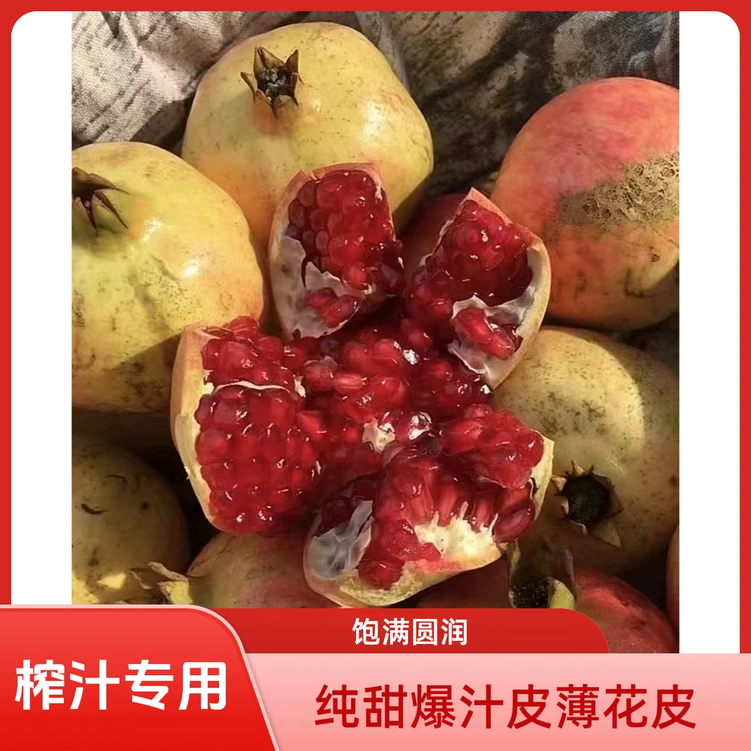 花皮粗皮商用榨汁优选丑石榴四川会理原产地直发突尼斯软籽石榴