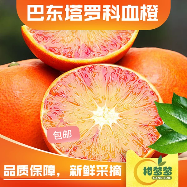 塔罗科血橙多汁细腻香甜5斤/10斤橙子新鲜现摘原产地快递水果