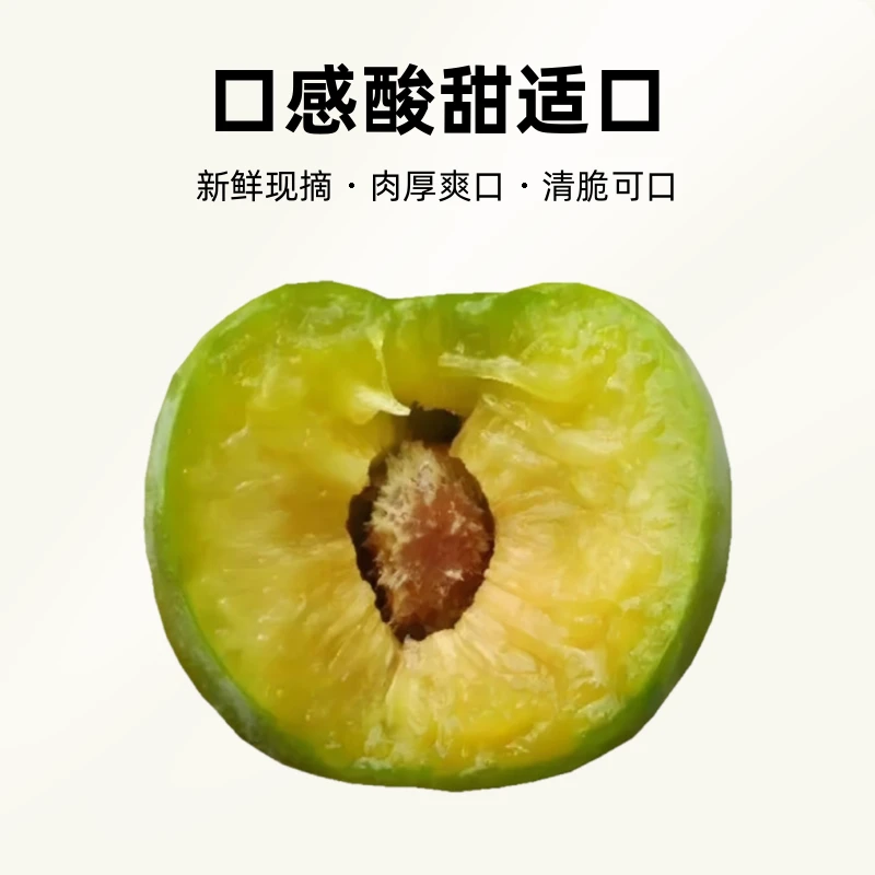巴东空心脆李3-5斤精选采摘酸甜爽口新鲜水果现摘现发产地发顺丰