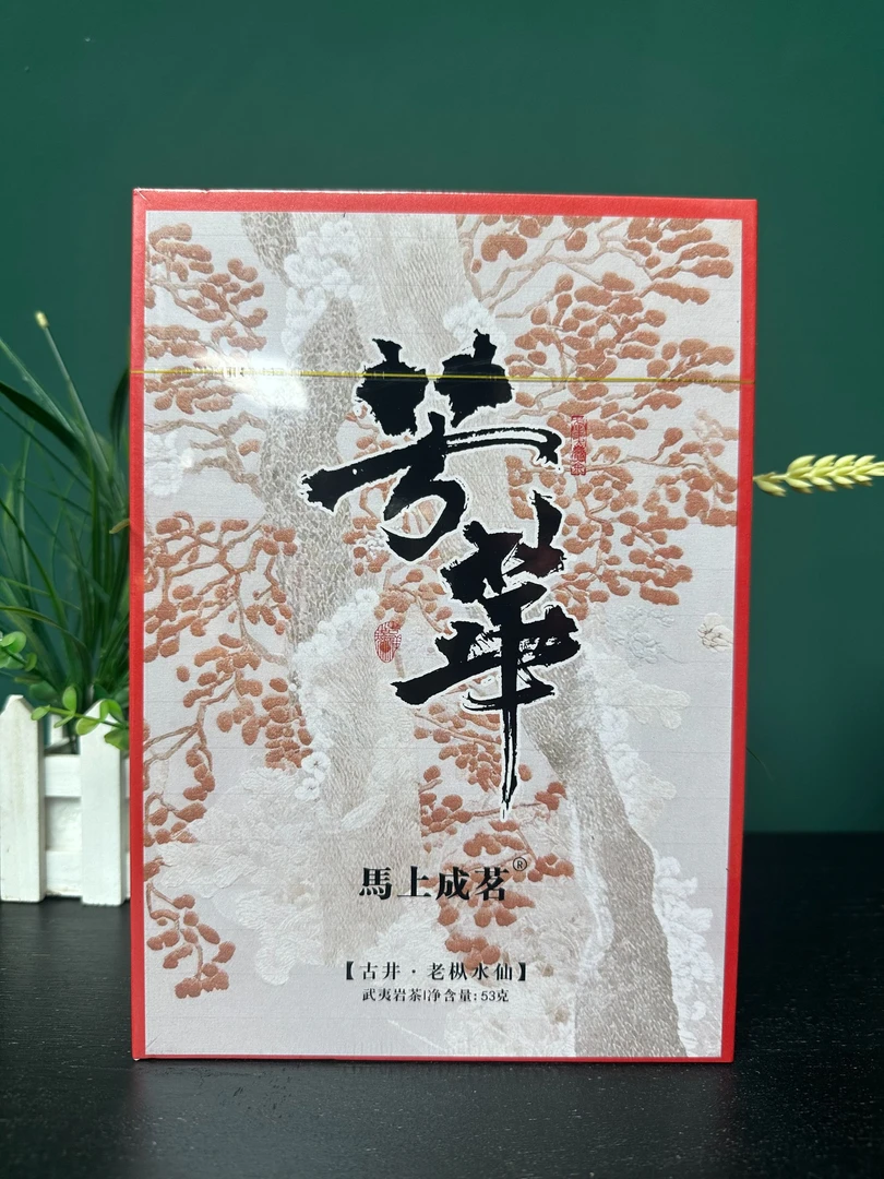TC 马上成茗  芳华 古井老枞水仙