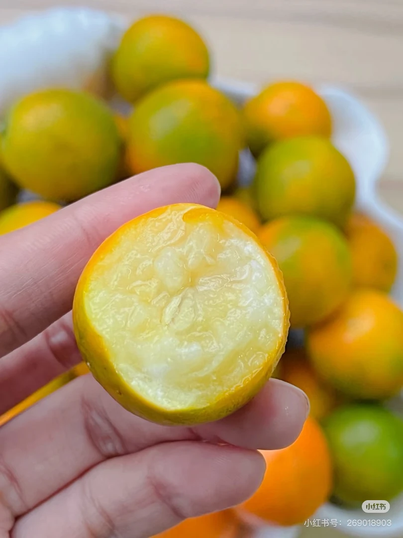 脆蜜金柑（1斤/盒）