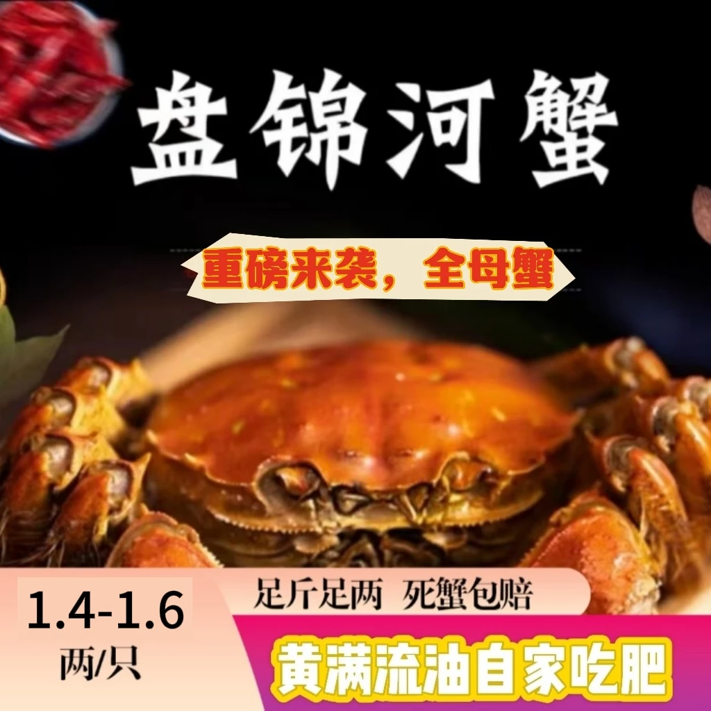 【活蟹】盘锦稻田母蟹1.4-1.6两/只，盘锦产地直发顺丰包邮