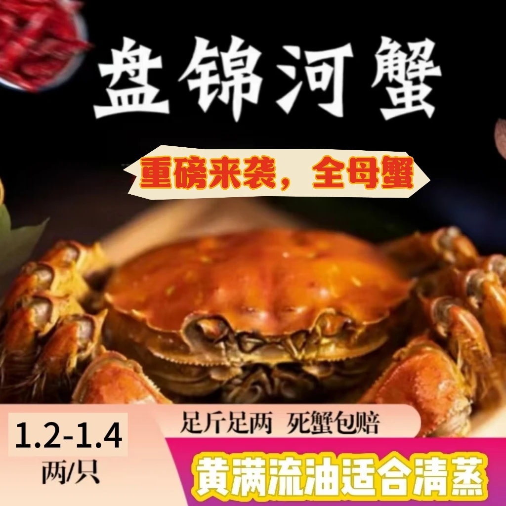 【活蟹】盘锦稻田母蟹，1.2-1.4两/只，送一斤公蟹，顺丰包邮