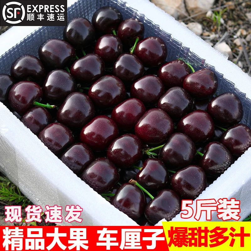 智利进口车厘子J-JJJJ级孕妇新鲜水果2/5斤礼盒装顺丰空运团购