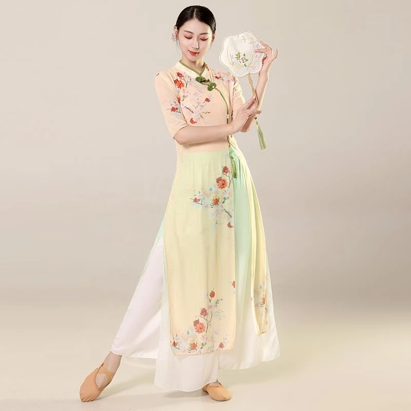 古典舞服女飘逸练功服身韵弹力纱衣中国舞古风旗袍舞蹈服装表演服