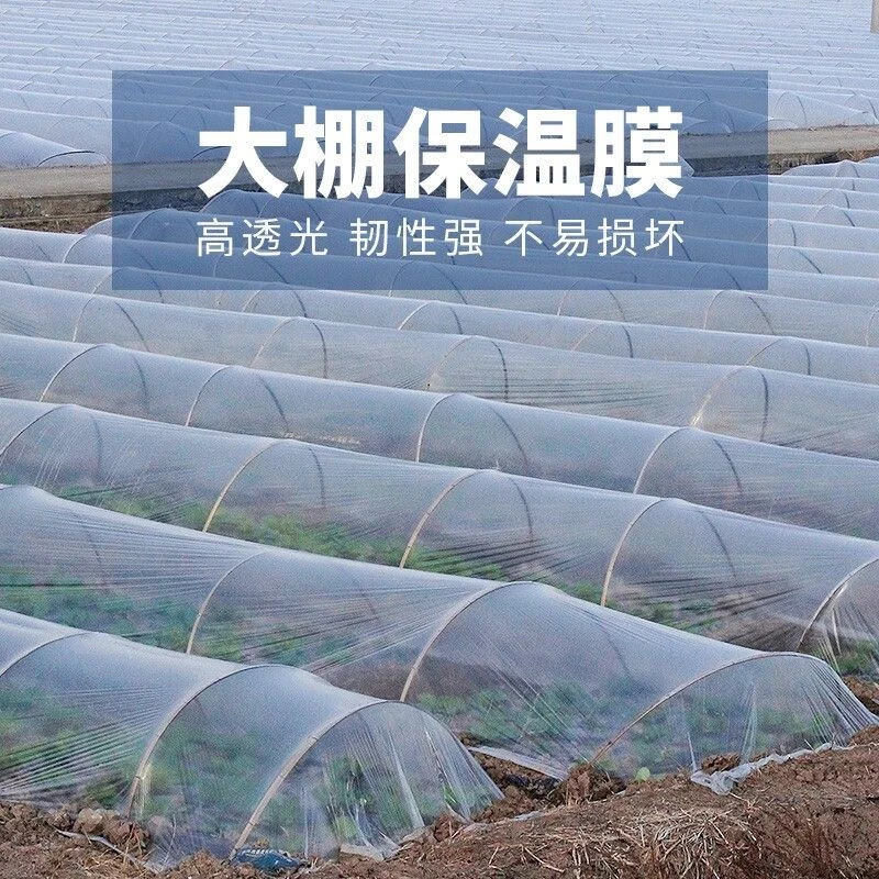 家用短米数加厚白色农用地膜小拱棚专用膜塑料薄膜保温保湿种菜膜