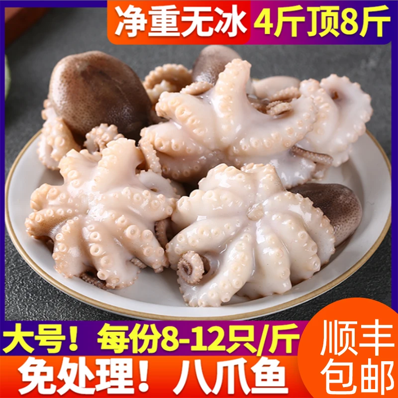 小章鱼足新鲜八爪鱼3斤鲜活章鱼迷你八抓鱼海鲜水产冷冻超大爆头
