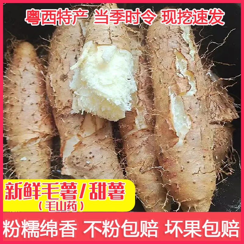 茂名新鲜毛薯甜薯高州白心淮山药脚板香甜山药薯甜薯猪仔薯毛山药
