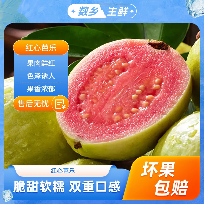 广西红心芭乐新鲜水果产地直发