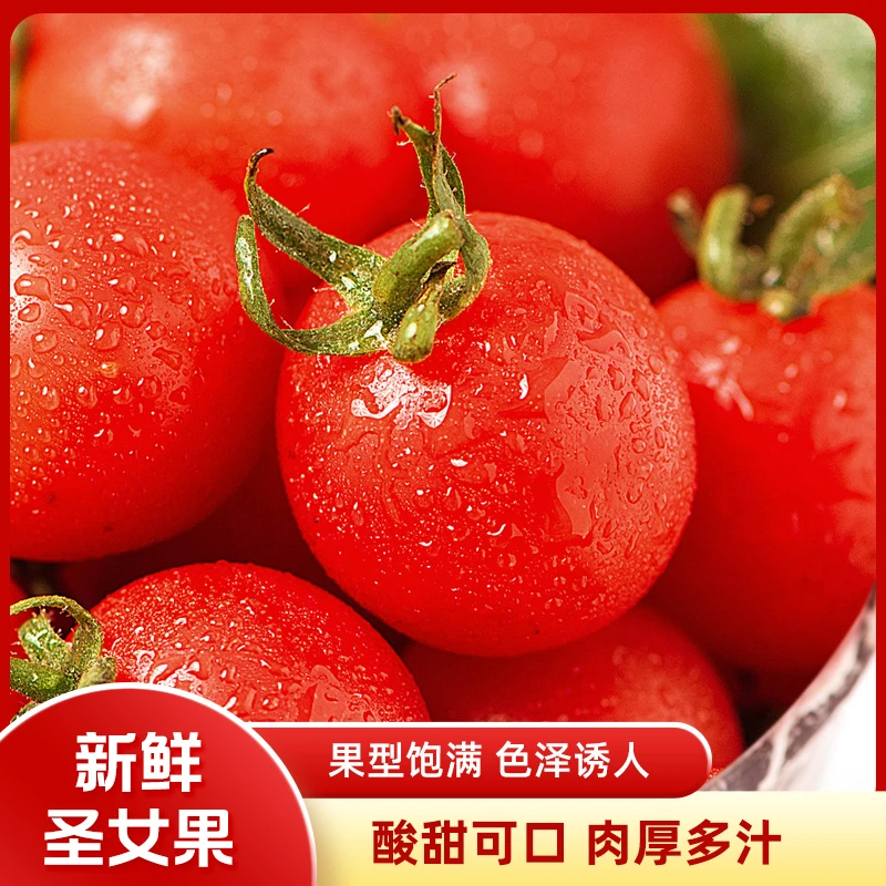 时予心愿广西圣女果水果西红柿小番茄4.5斤产地直发整箱包邮