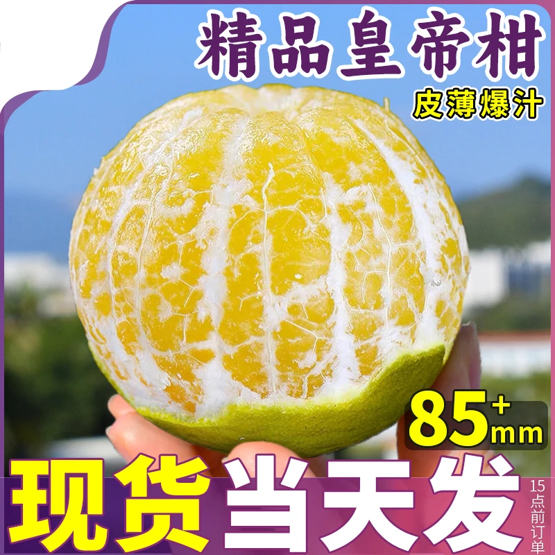 礼盒装甄选皇帝柑新鲜橘子香甜水果桔子橘子当季正宗直发爆汁严选