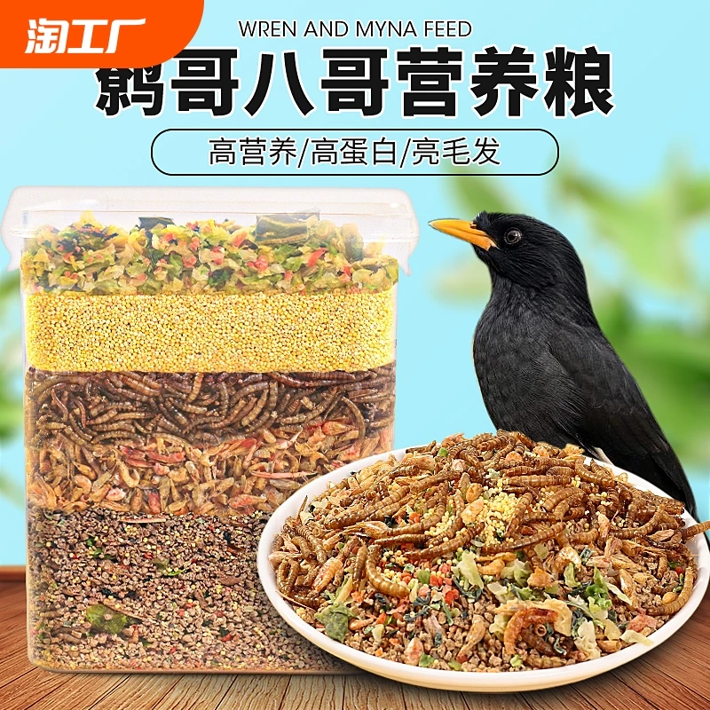 八哥鹩哥饲料鸟粮营养鸟食海八黑八专用粮鸟料5斤装画眉肠道