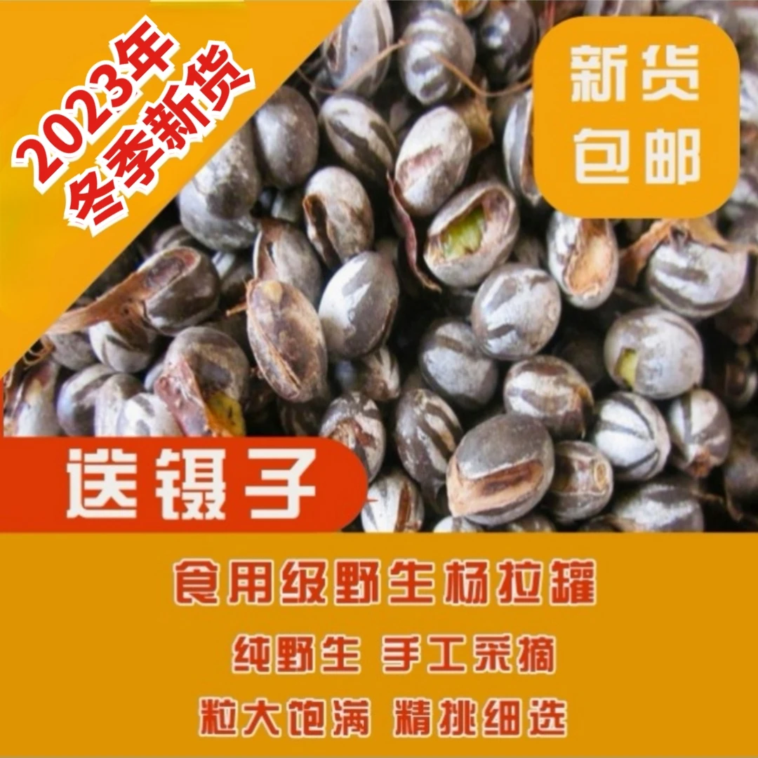 坦克虫洋辣子杨拉罐蜜袋鼯松鼠仓鼠宠物增肥食物零食2023年秋新货