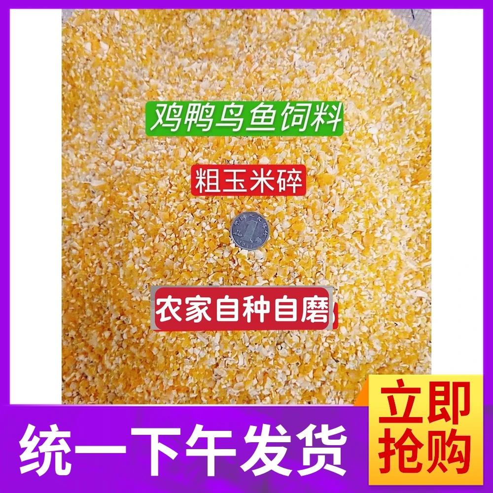 新鲜碎玉米粒碴粉钓鱼打窝鸡鸭鹅鸽子 小鸡饲料 10斤装包邮