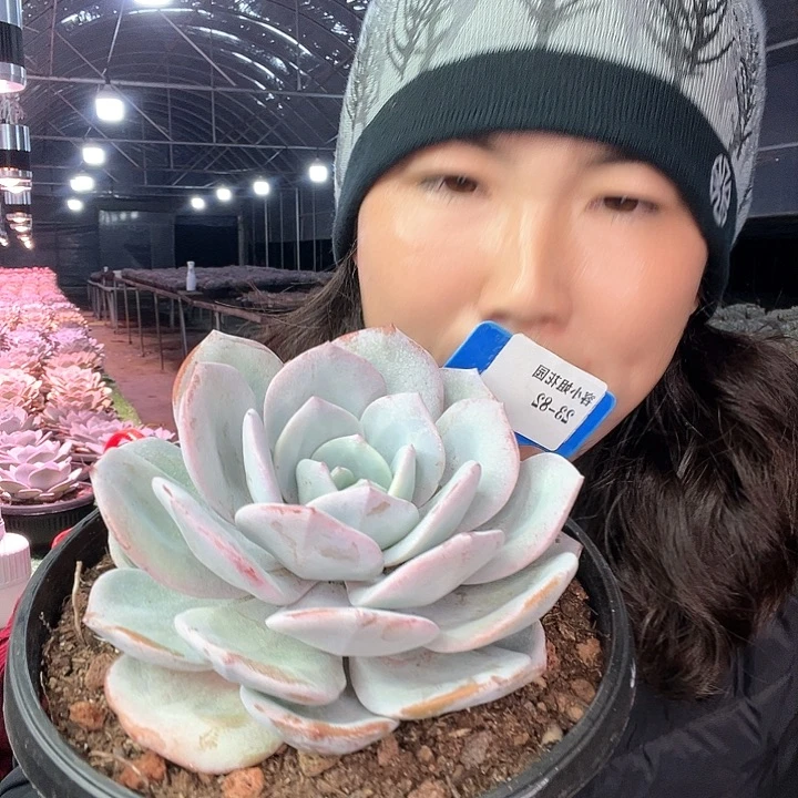 23.82奶茶一个脱土