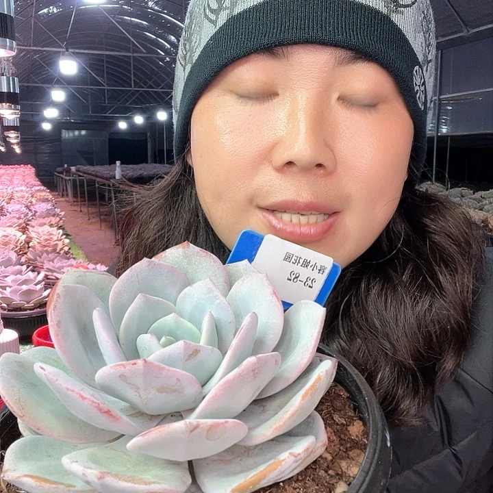 23.82奶茶一个脱土