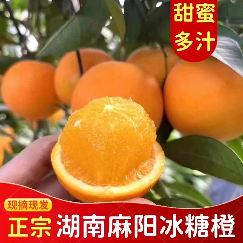 【卫士专属】正宗湖南麻阳冰糖橙新鲜现摘水果橙子9斤装