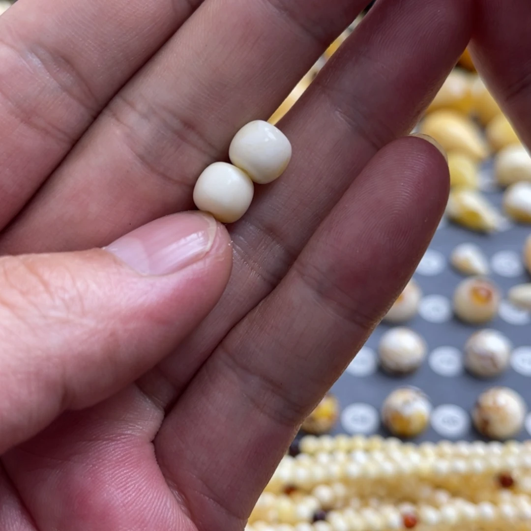 【闪购商品】琥珀珠宝奇石未镶嵌