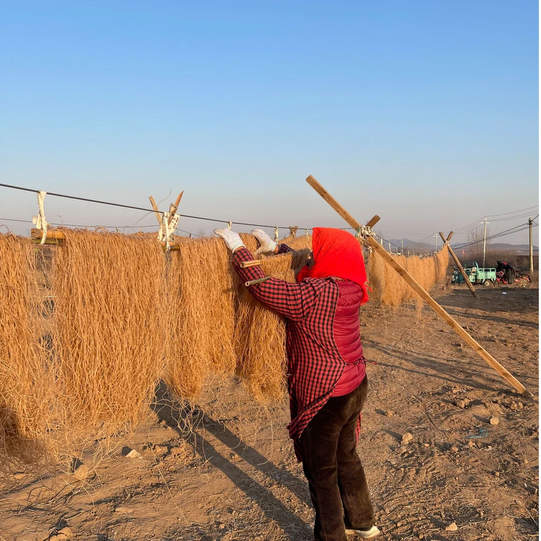 农家自做 现晒西瓜红粉条 尝鲜 数量不多