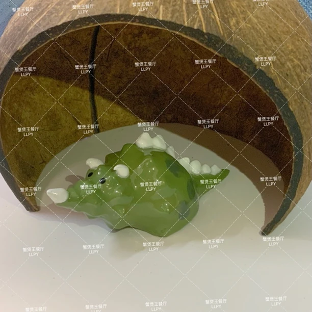 恐龙款（主播说是恐龙那就是恐龙）｜寄居蟹替换壳 diy