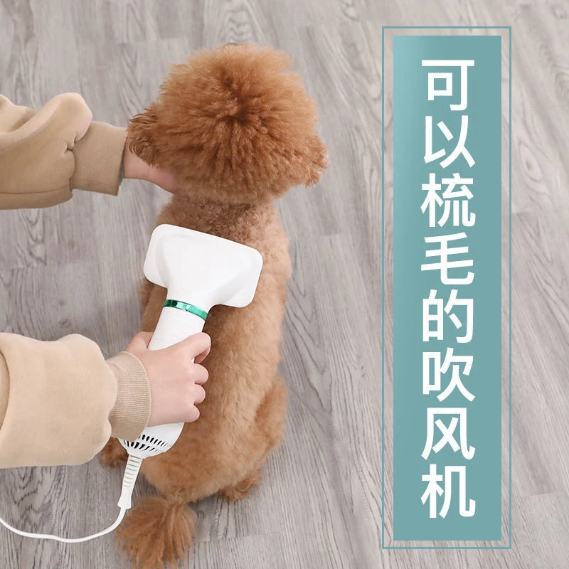 比熊专用吹毛拉毛一体机狗狗吹风机吹水机电吹风洗澡吹干神器