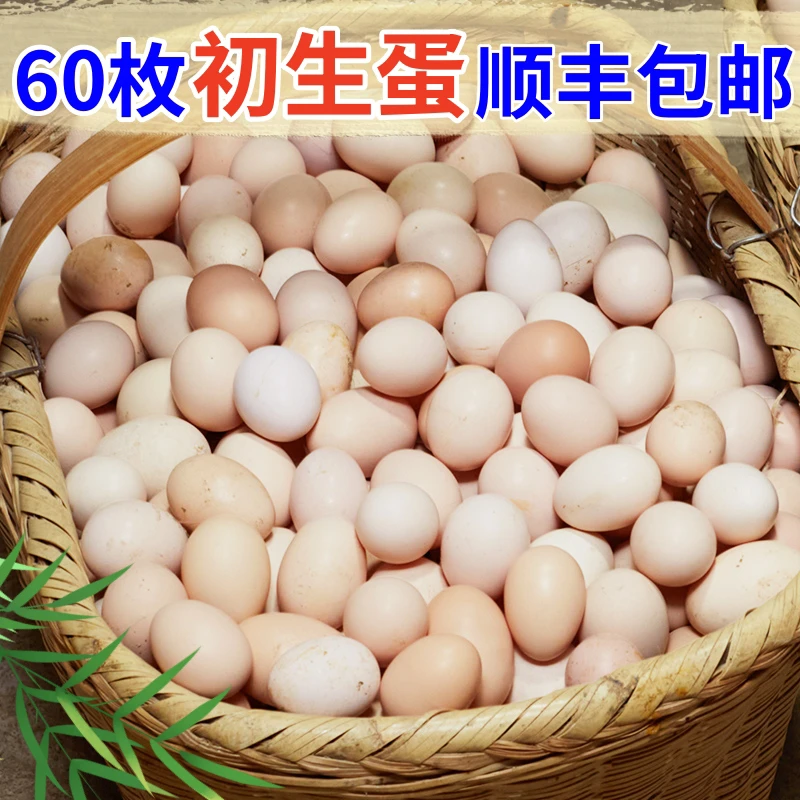 【整箱60枚初生蛋】农家散养土鸡蛋现捡新鲜草鸡蛋柴鸡蛋顺丰包邮