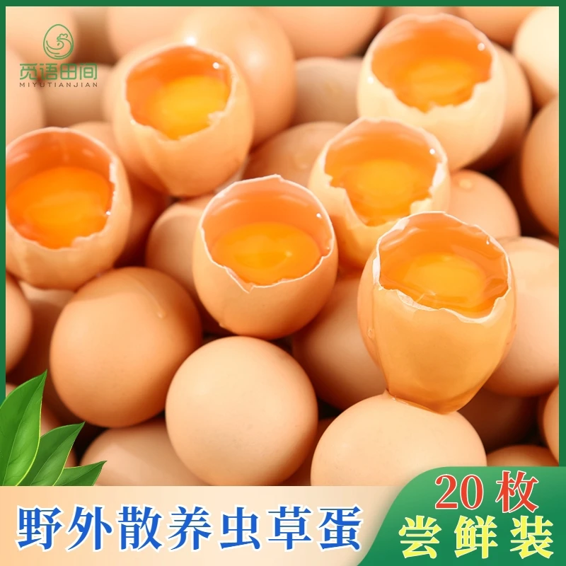 新品【20枚尝鲜装】正宗山散养土鸡蛋新鲜草鸡蛋营养柴鸡蛋40-50克
