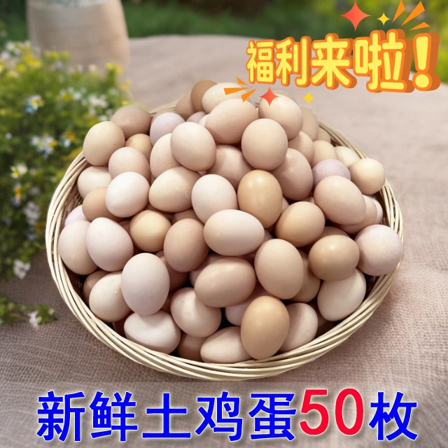 【整箱50枚】正宗农家散养土鸡蛋新鲜虫草蛋 甄选40-50克鲜鸡蛋