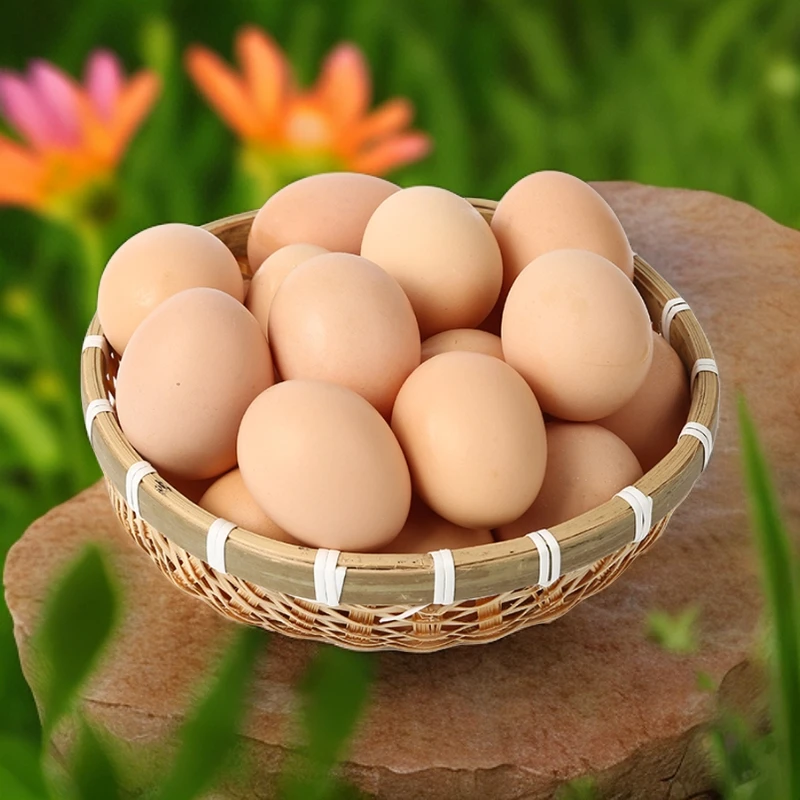 农家散养土鸡蛋20枚正宗农村新鲜柴鸡蛋草鸡蛋 甄选45-50克大鸡蛋