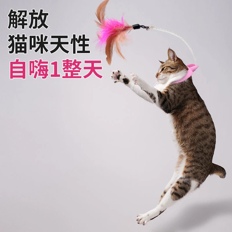 【猫主子力推】逗猫棒猫玩具自嗨猫咪解闷神器幼猫耐咬带铃铛羽毛