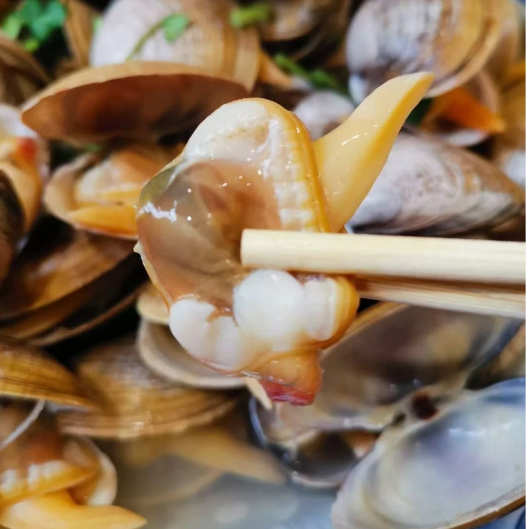 东港大黄蚬子3斤 保鲜不保活 个别有沙壳易碎活鲜易脱水介意勿拍!