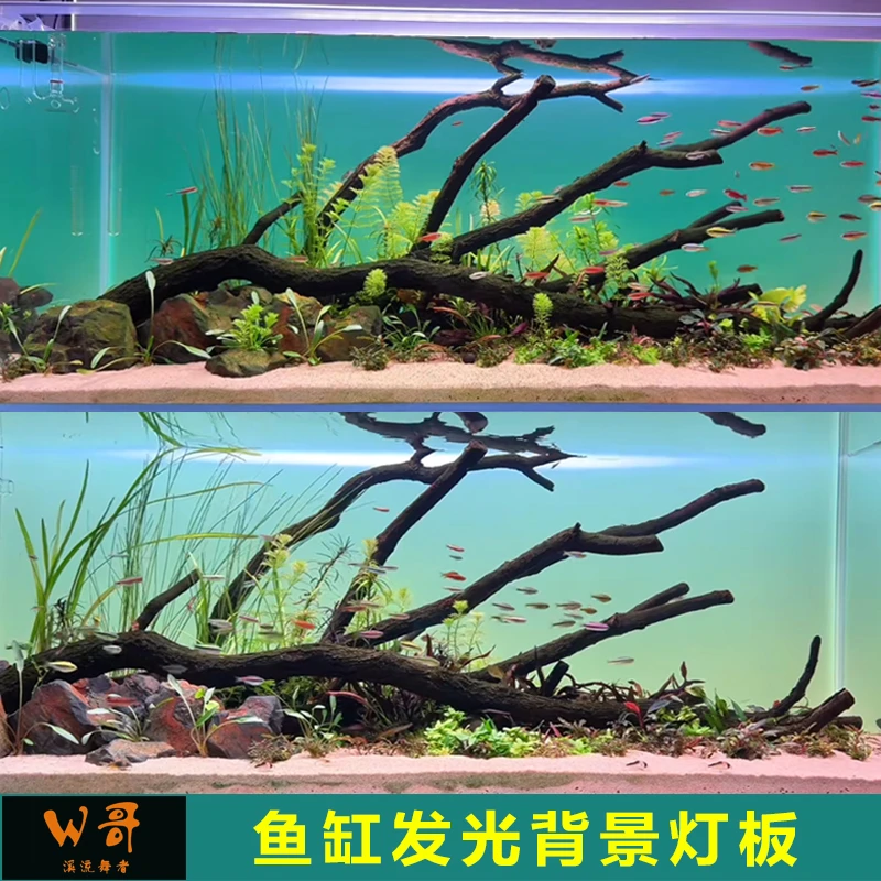 南美缸水草缸发光背景板鱼缸溪流缸背景灯板RGBW渐变led可定制