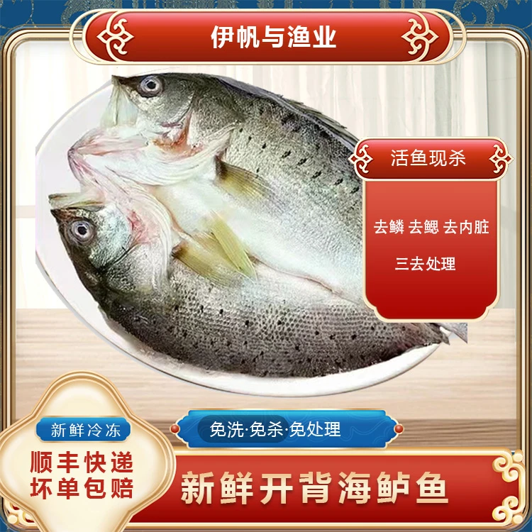 【珠海生鲜】6条 250-300g/条 活鱼新鲜杀白蕉海鲈鱼
