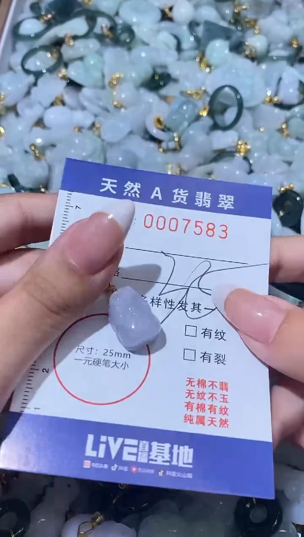 【闪购商品】翡翠颈饰未镶嵌00007583