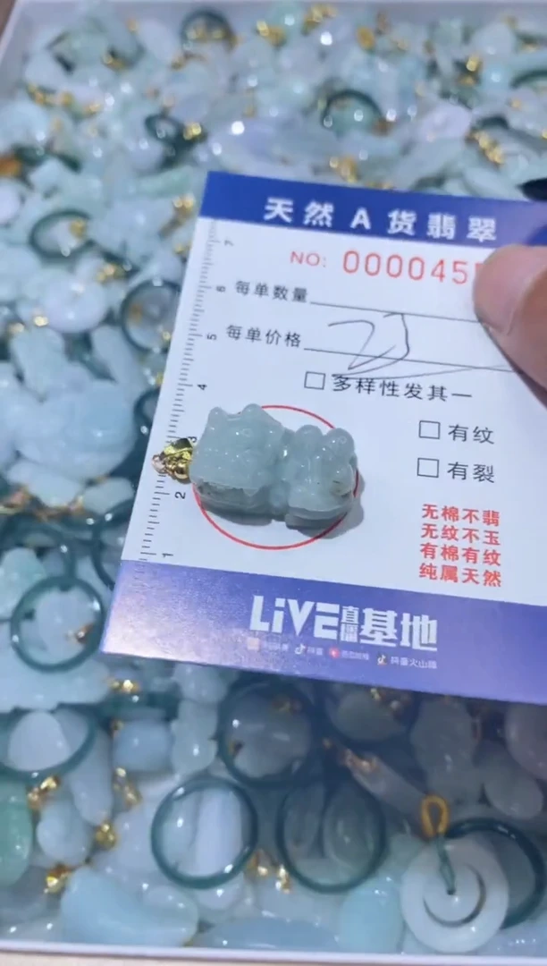 【闪购商品】翡翠颈饰未镶嵌000000455